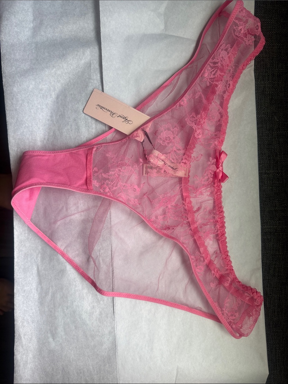 Sheer Lace Bikini Panty - Sachaa Full Brief